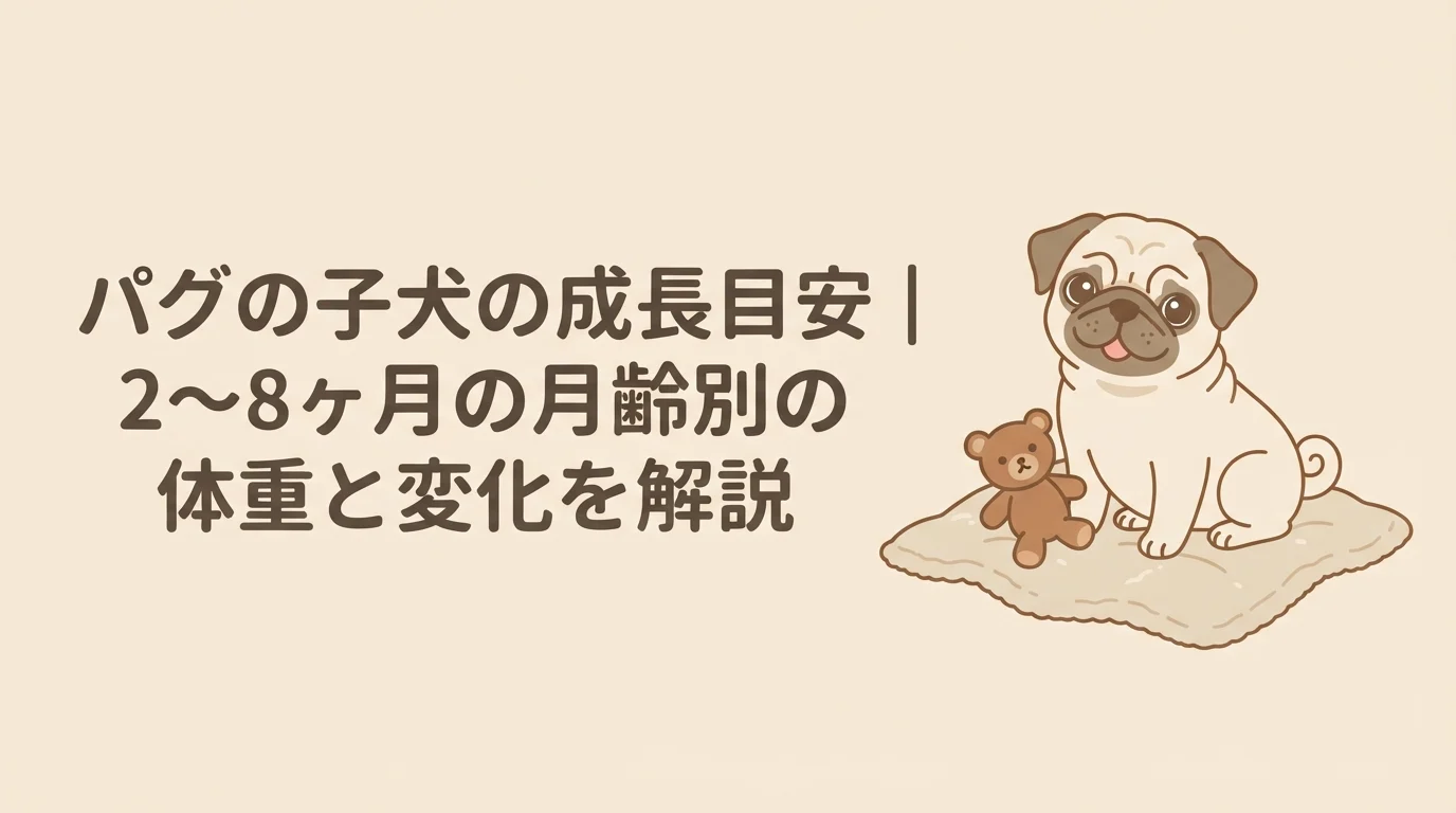 毛布の上でぬいぐるみと並んでおすわりする、小さなパグの子犬