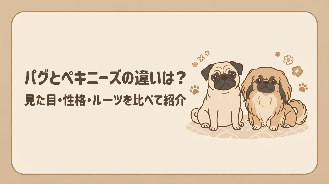 パグと長毛のペキニーズが並んで座っている様子