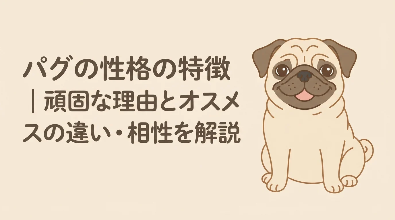 陽気で人懐っこい表情でこちらを見つめているパグ
