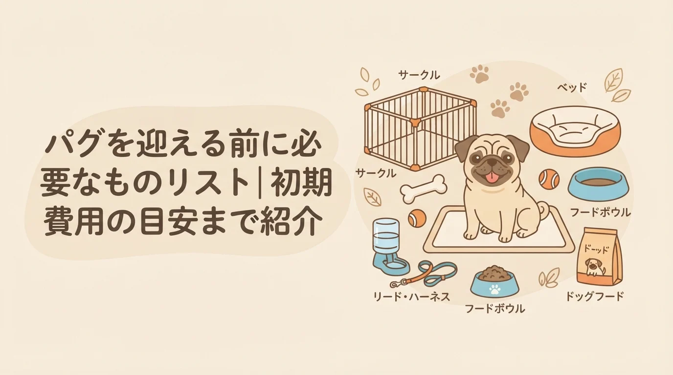 サークルやおもちゃなどのお迎えグッズに囲まれて座っている子犬パグ