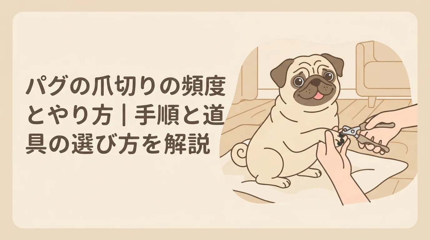 前足の爪をやさしく切ってもらっている様子のパグ