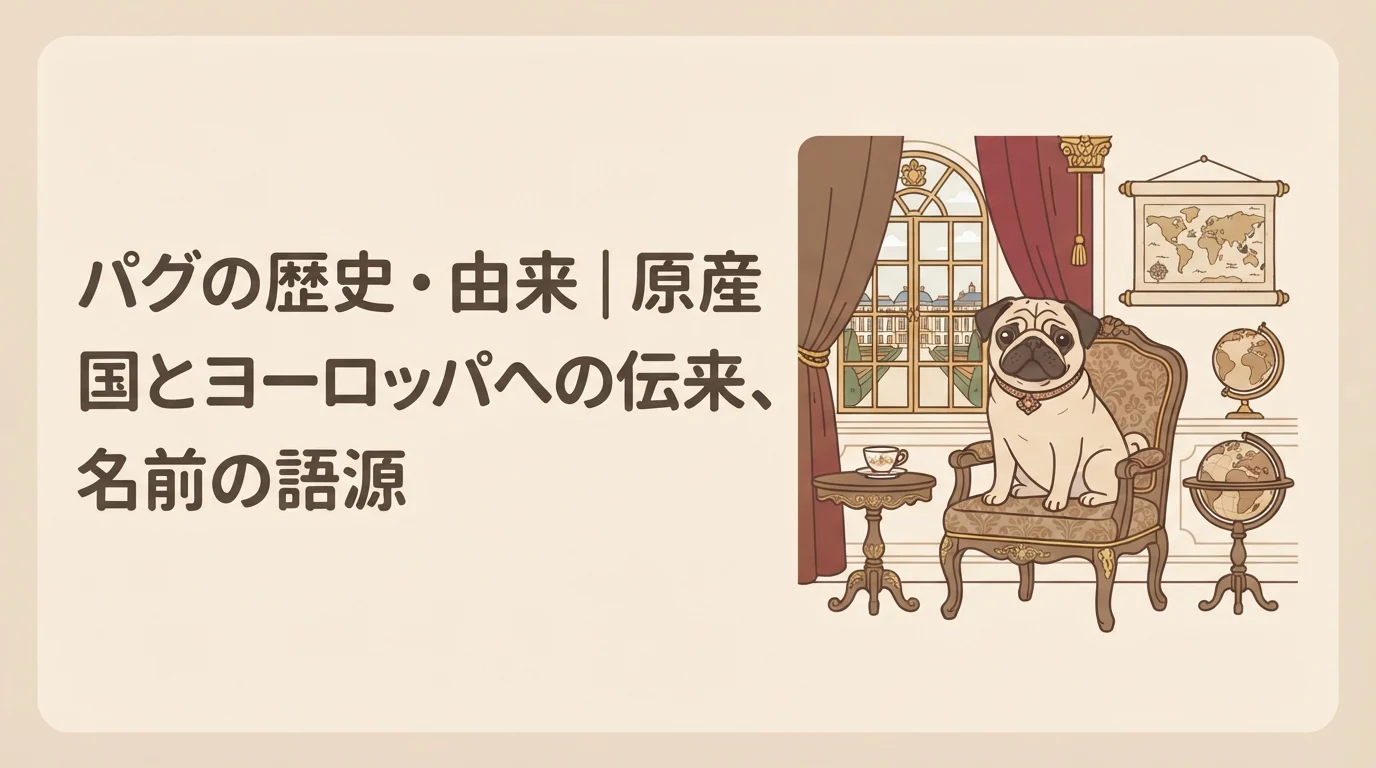 宮廷を思わせる落ち着いた雰囲気の中でくつろぐ、由緒正しげなパグ