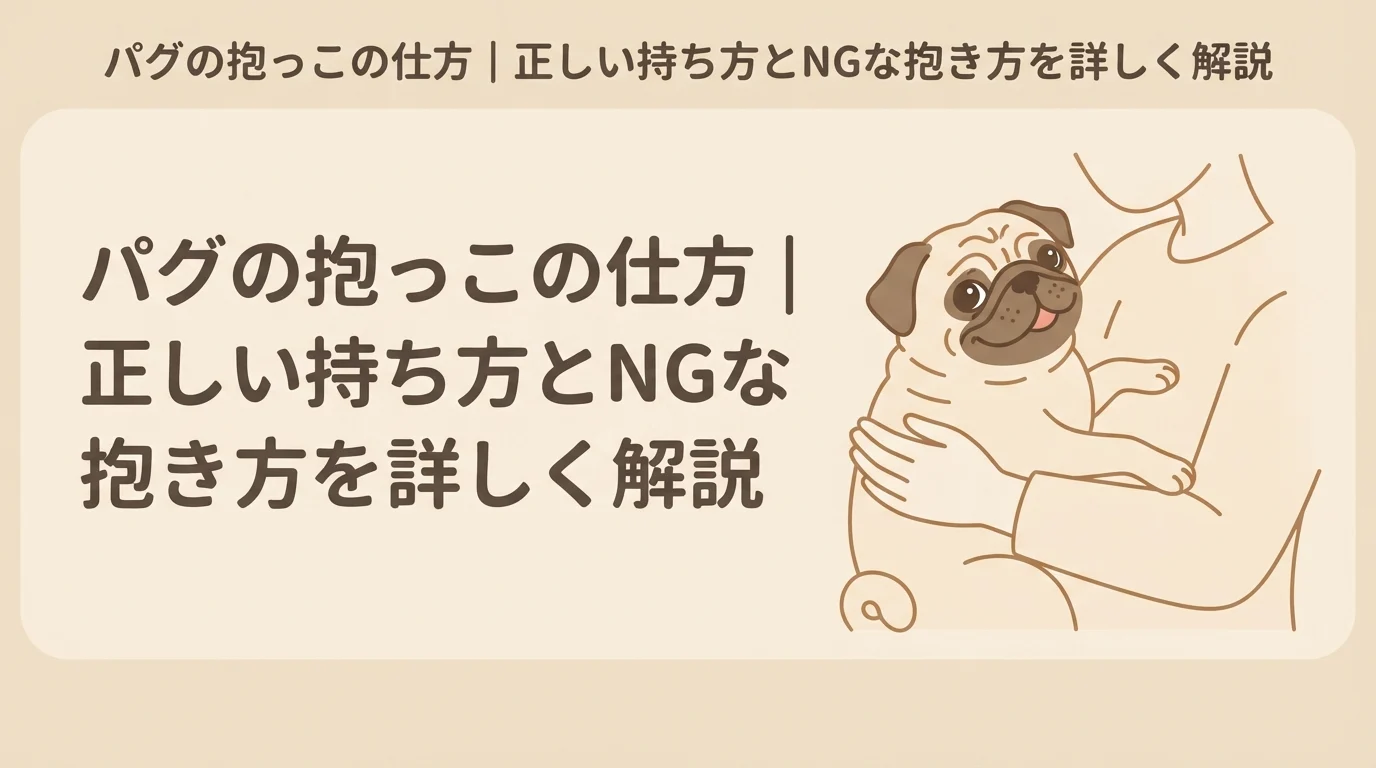 飼い主に抱っこされて安心した表情のパグ