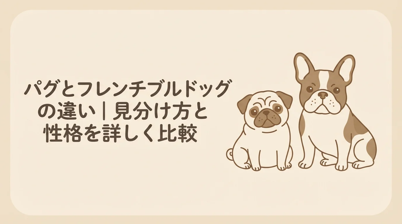 パグとフレンチブルドッグが並んで座っている様子。パグは小柄で丸みのある体型、フレンチブルドッグは筋肉質でがっしりした体格の対比が分かるように