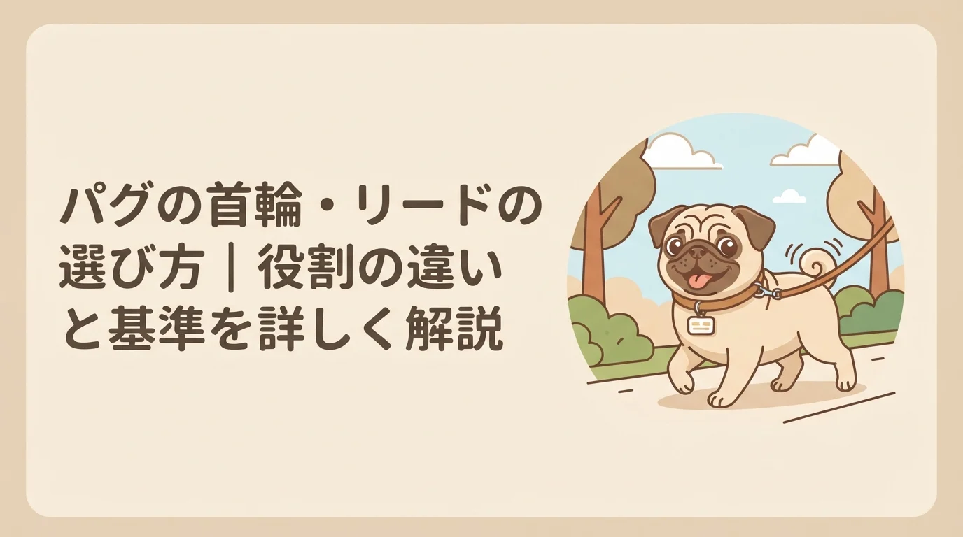 迷子札のついた首輪をつけたパグが、リードにつながれて尻尾を振りながら元気に散歩へ出かける様子