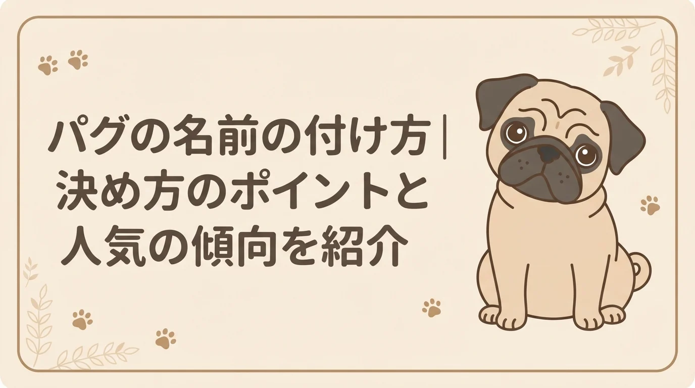 首をかしげて名付けを待っているような、あどけない表情のパグの子犬
