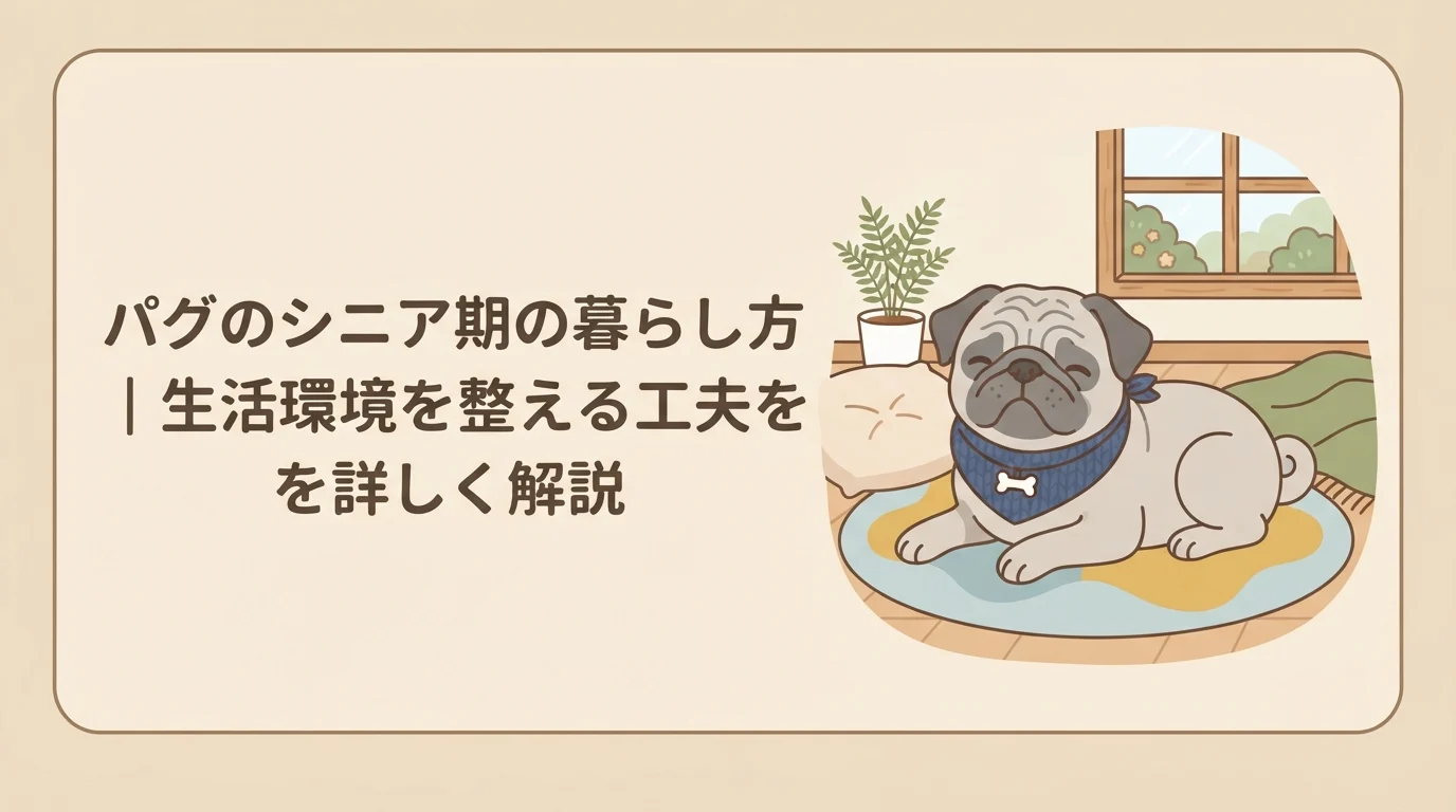 落ち着いた表情で、ゆったりとくつろいでいるシニア期のパグ
