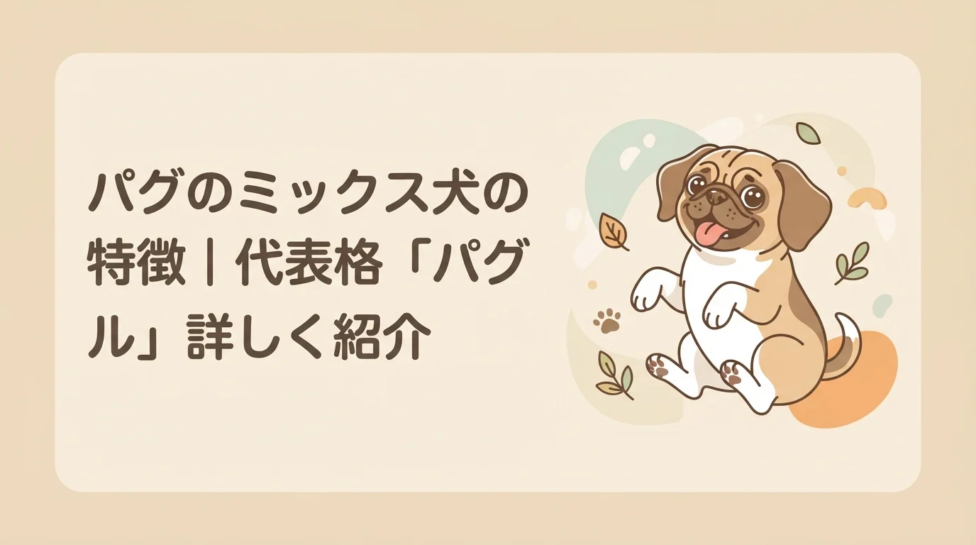 さまざまな犬種とかけ合わされるパグのミックス犬をイメージした、愛嬌のある表情のパグ系ミックス犬