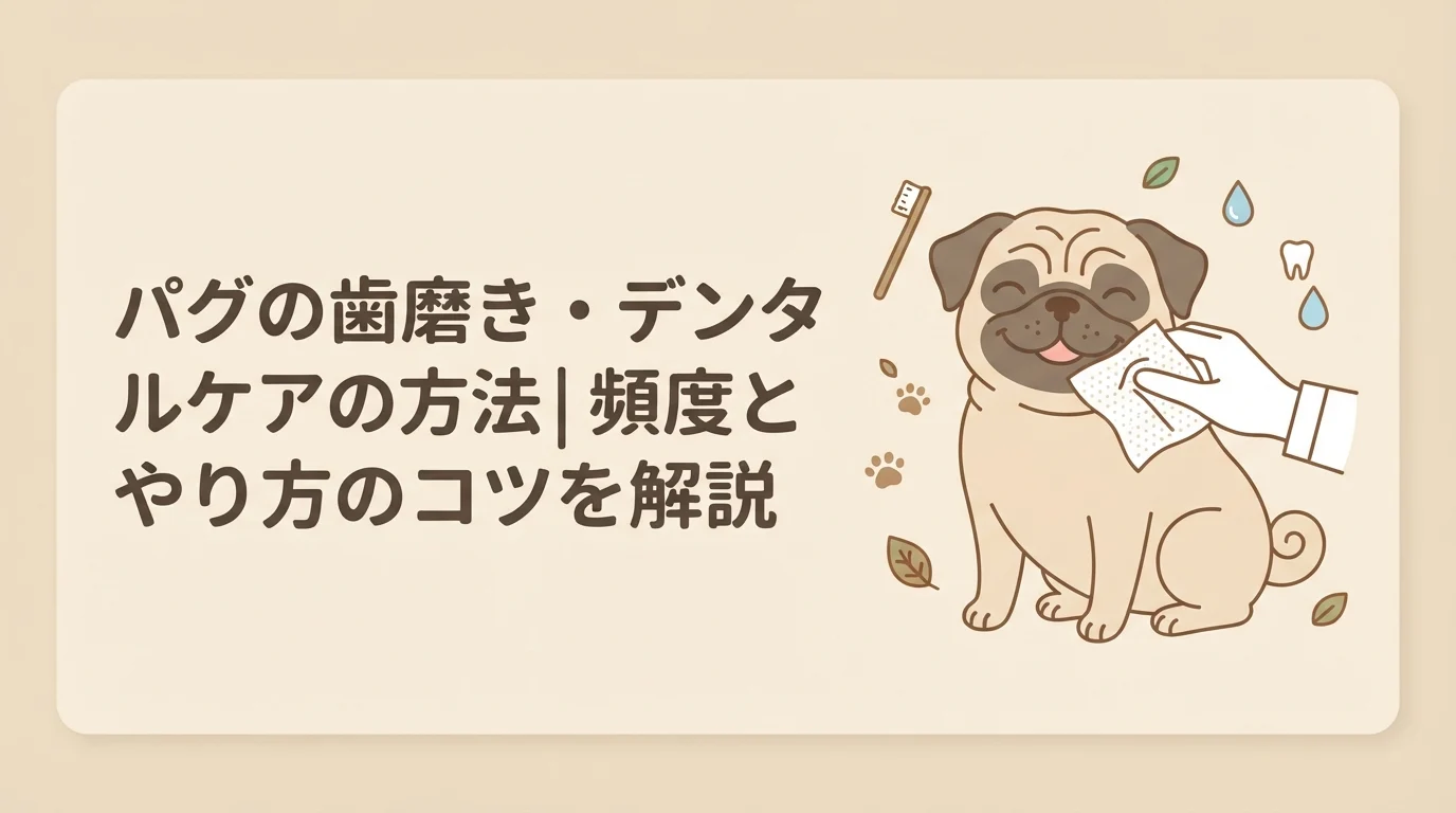 歯磨きシートで歯を優しくケアされ、気持ちよさそうにしているパグの全身イラスト