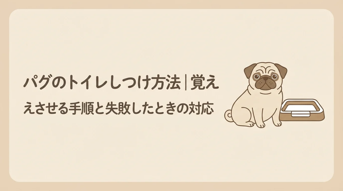 トイレの近くでちょこんと座って褒められるのを待っている、可愛らしいパグ
