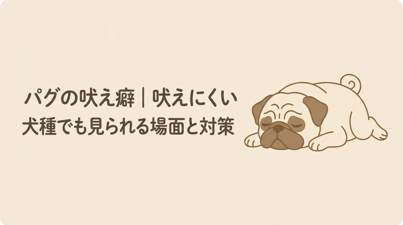 落ち着いた様子で伏せて休んでいるパグ