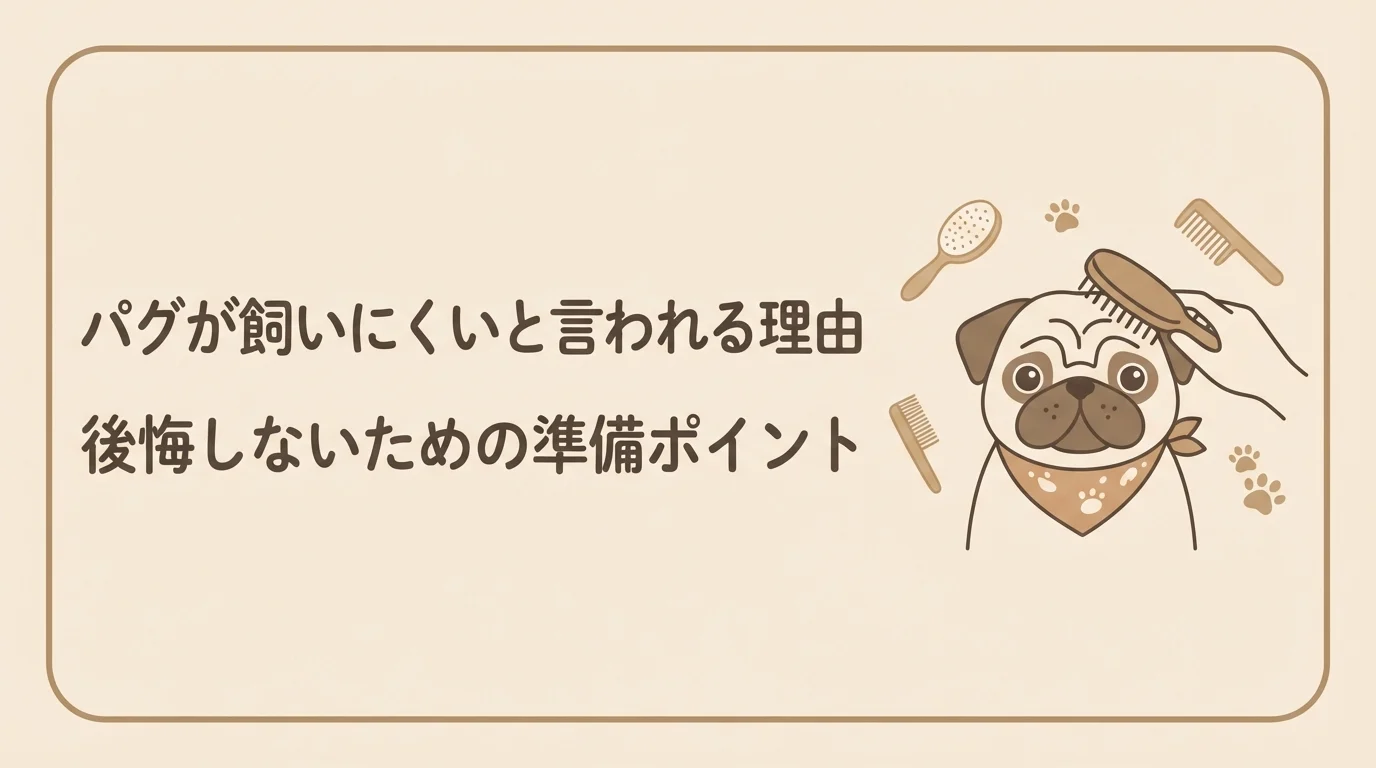 しわの間から愛らしい表情をのぞかせている、お手入れ中のパグ