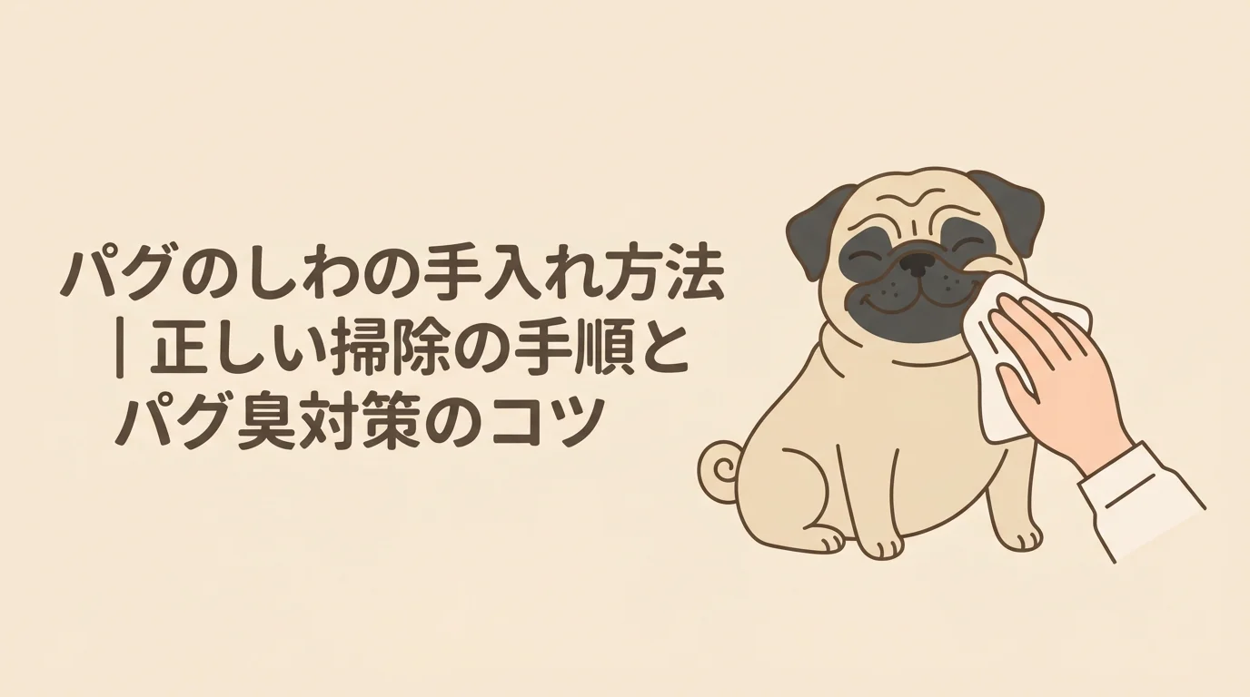 顔のしわを優しく拭いてもらって、気持ちよさそうにしているパグ