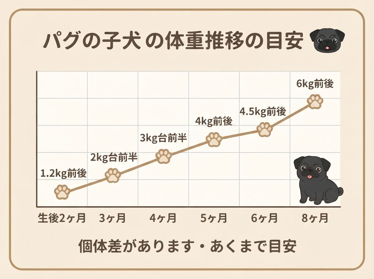 パグの子犬の生後2ヶ月から8ヶ月までの体重の目安をまとめた推移図です。