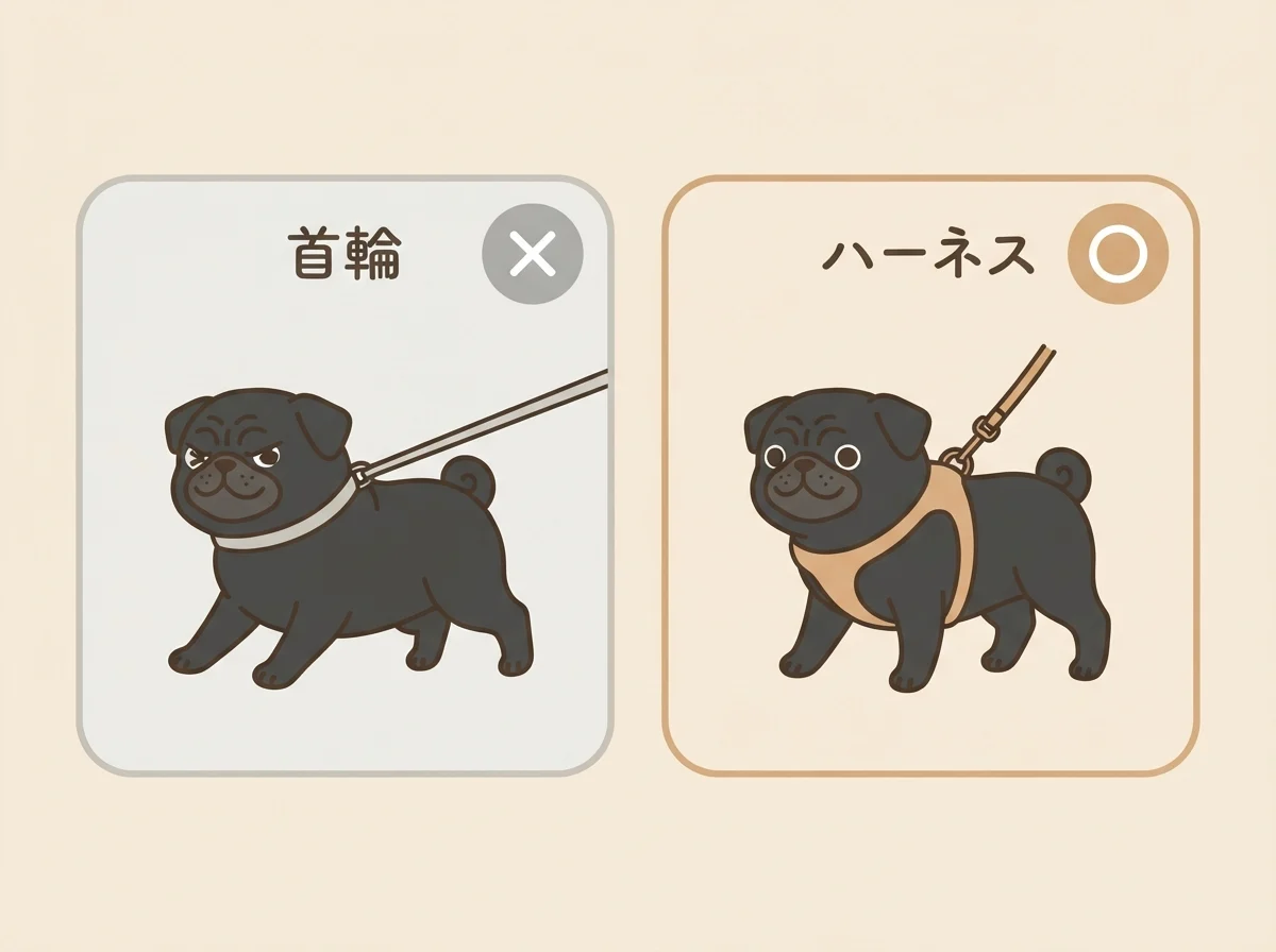 首輪とハーネスでパグの首や気道にかかる負担の違いを比較した図解