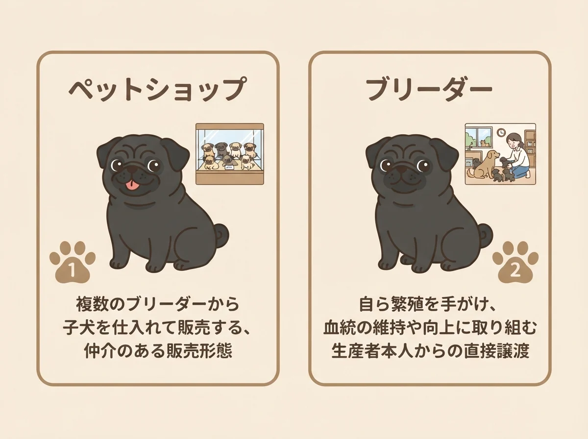 ペットショップとブリーダーそれぞれの仕入れ経路の違いを示す比較イラスト