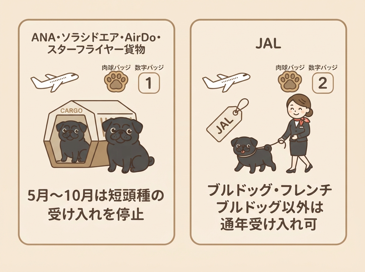 ANA系とJALの短頭種受け入れ規定の違いを比較した図