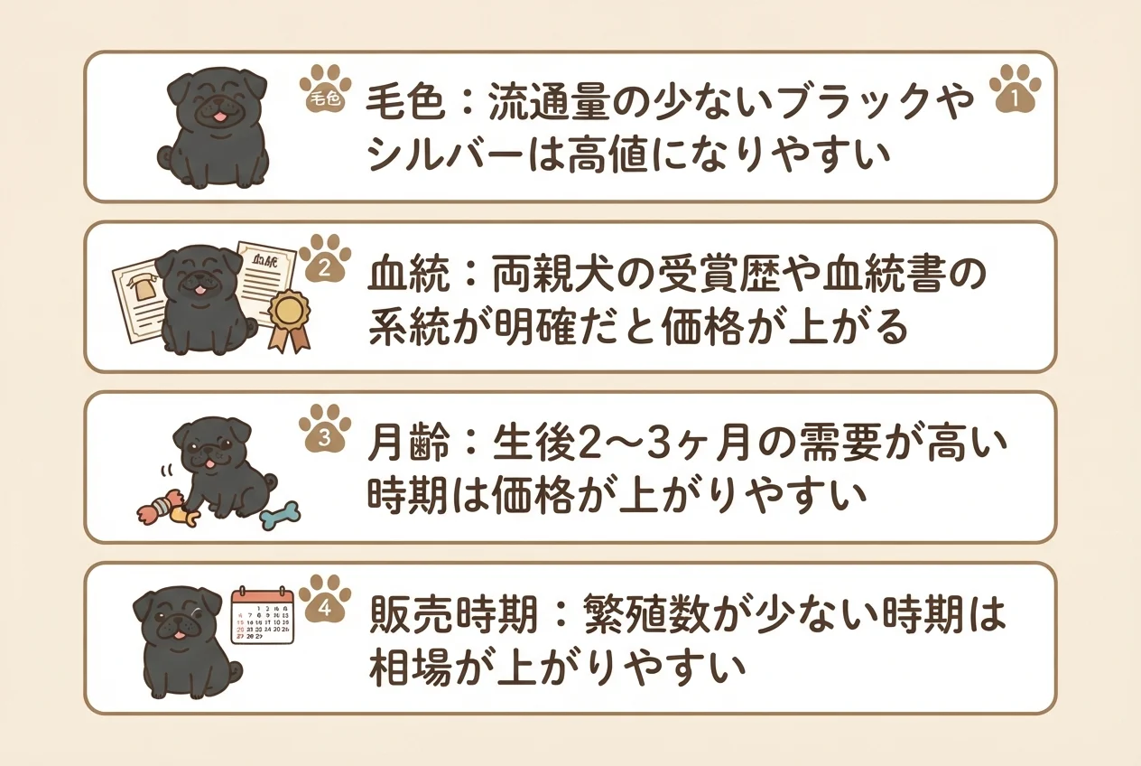 パグの子犬の価格が変わる4つの要因(毛色・血統・月齢・販売時期)を示した図解