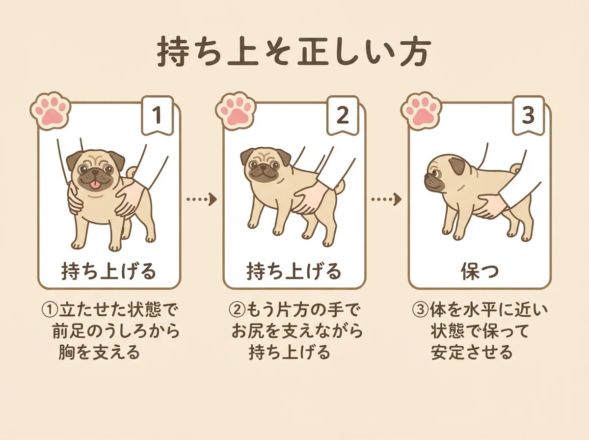 正しい抱っこの手順3ステップ(胸を支える→持ち上げる→水平に保つ)を示した図解