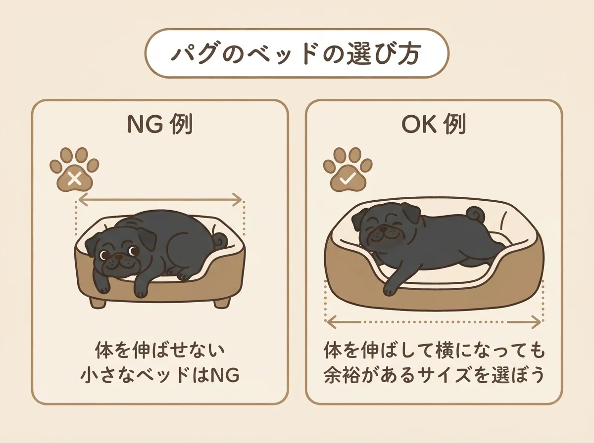 パグの体格を目安にベッドのサイズを選ぶ様子を示した図解