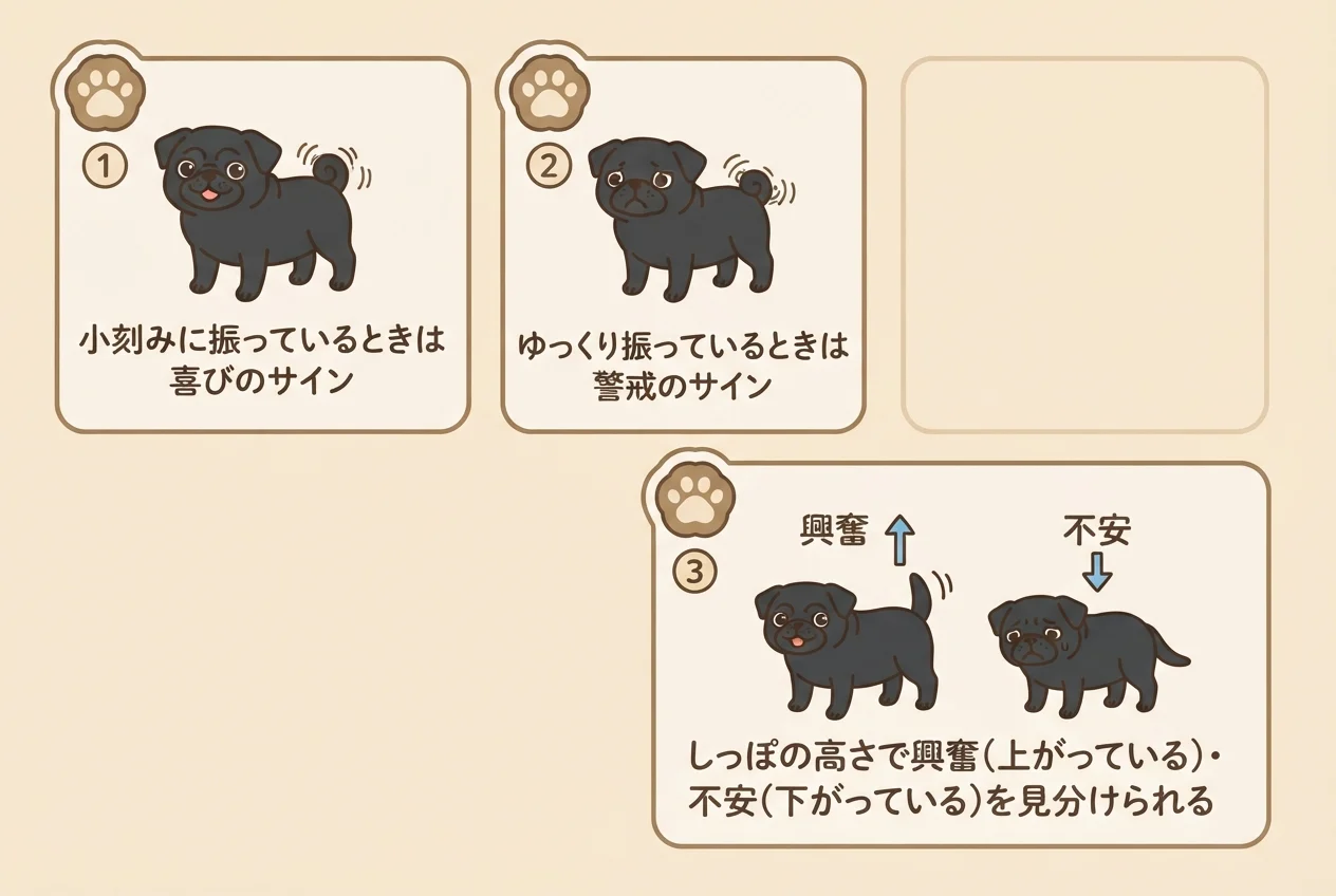 パグのしっぽの動き・高さから分かる気持ちのサインを示した図解