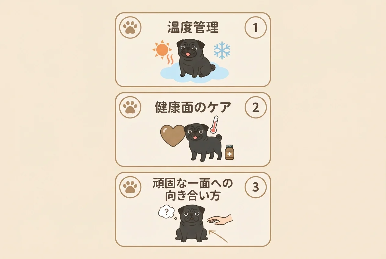 パグを迎える前に知っておきたい3つの注意点(温度管理・健康ケア・頑固さへの向き合い方)を示した図解