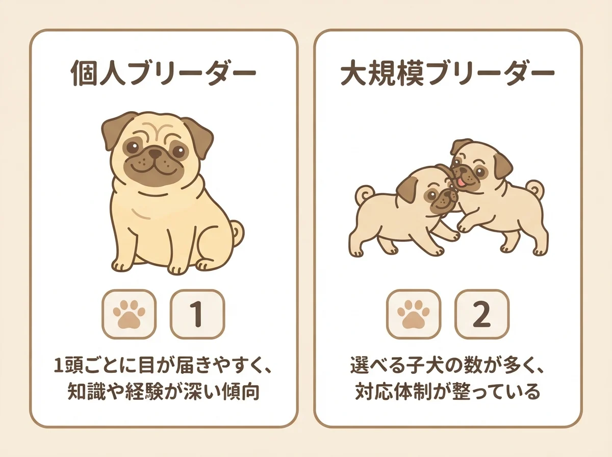 パグの個人ブリーダーと大規模ブリーダーの特徴の違いを対比した図解