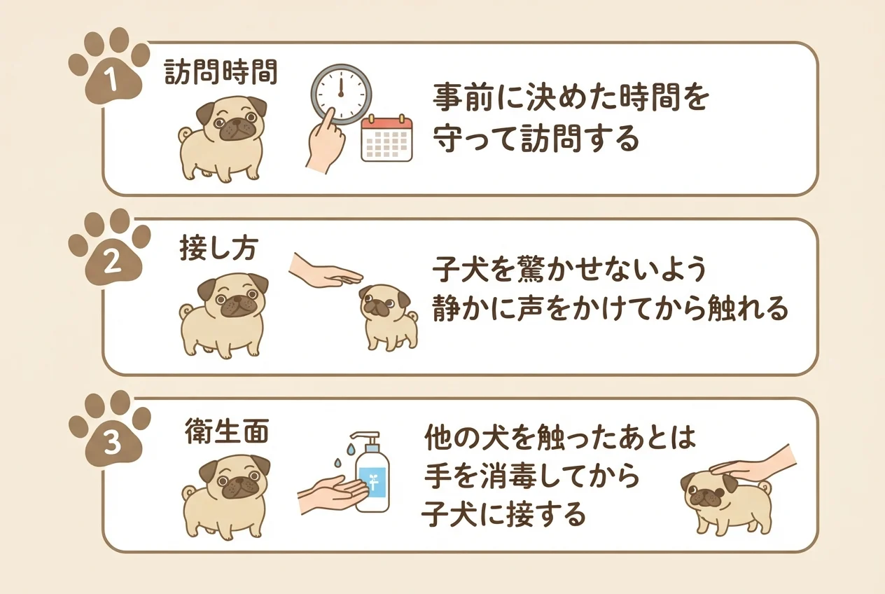 子犬を見学するときに気をつけたい3つのマナー（訪問時間・接し方・衛生面）を示した図解