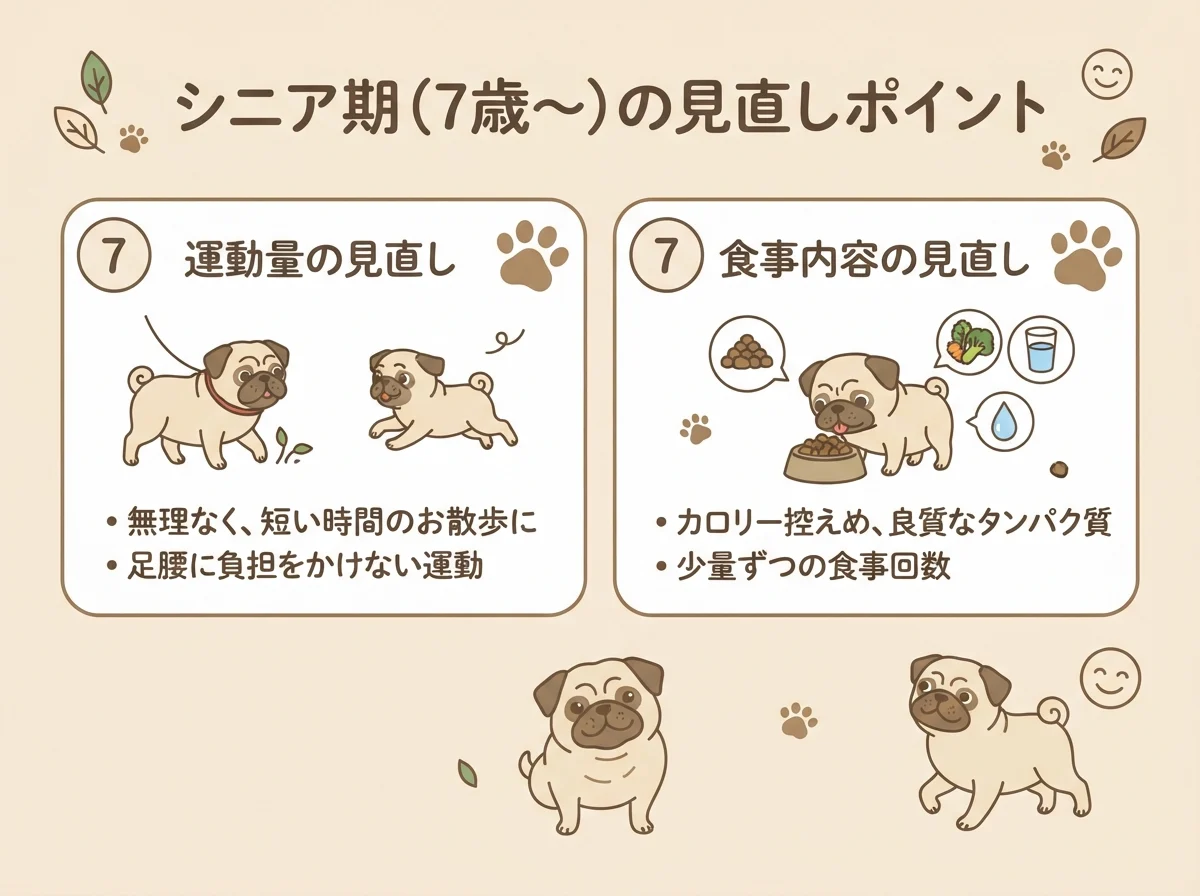 パグのシニア期が始まる7歳ごろの目安と生活の見直しを示した図解