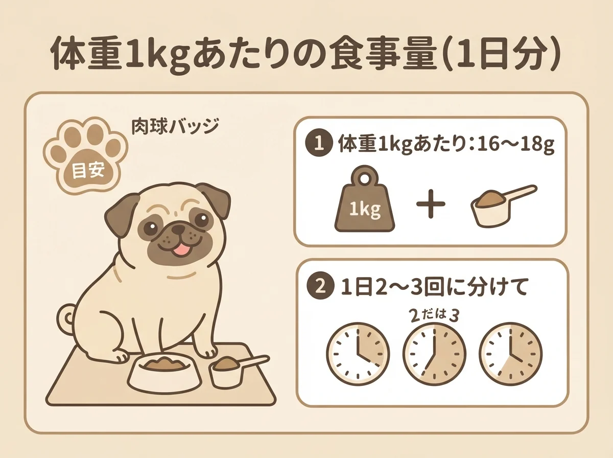 パグの体重別の食事量の目安（1kgあたり16〜18g、1日2〜3回）を示す図解