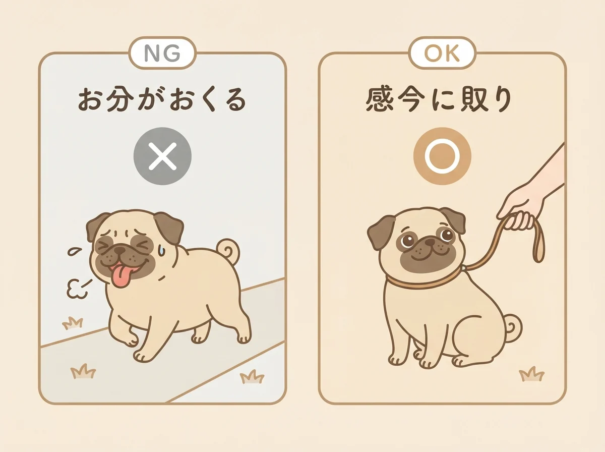 短頭種のパグの散歩で気をつけたい、無理をさせない対応を示した比較図解