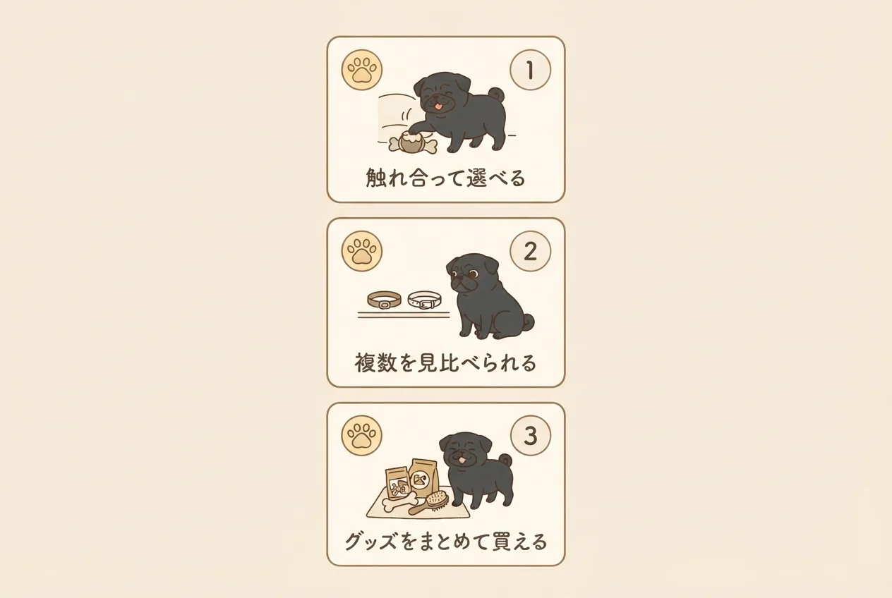 ペットショップで子犬を迎えるときの3つのメリット(触れ合って選べる・複数を見比べられる・グッズをまとめて買える)を示す図解