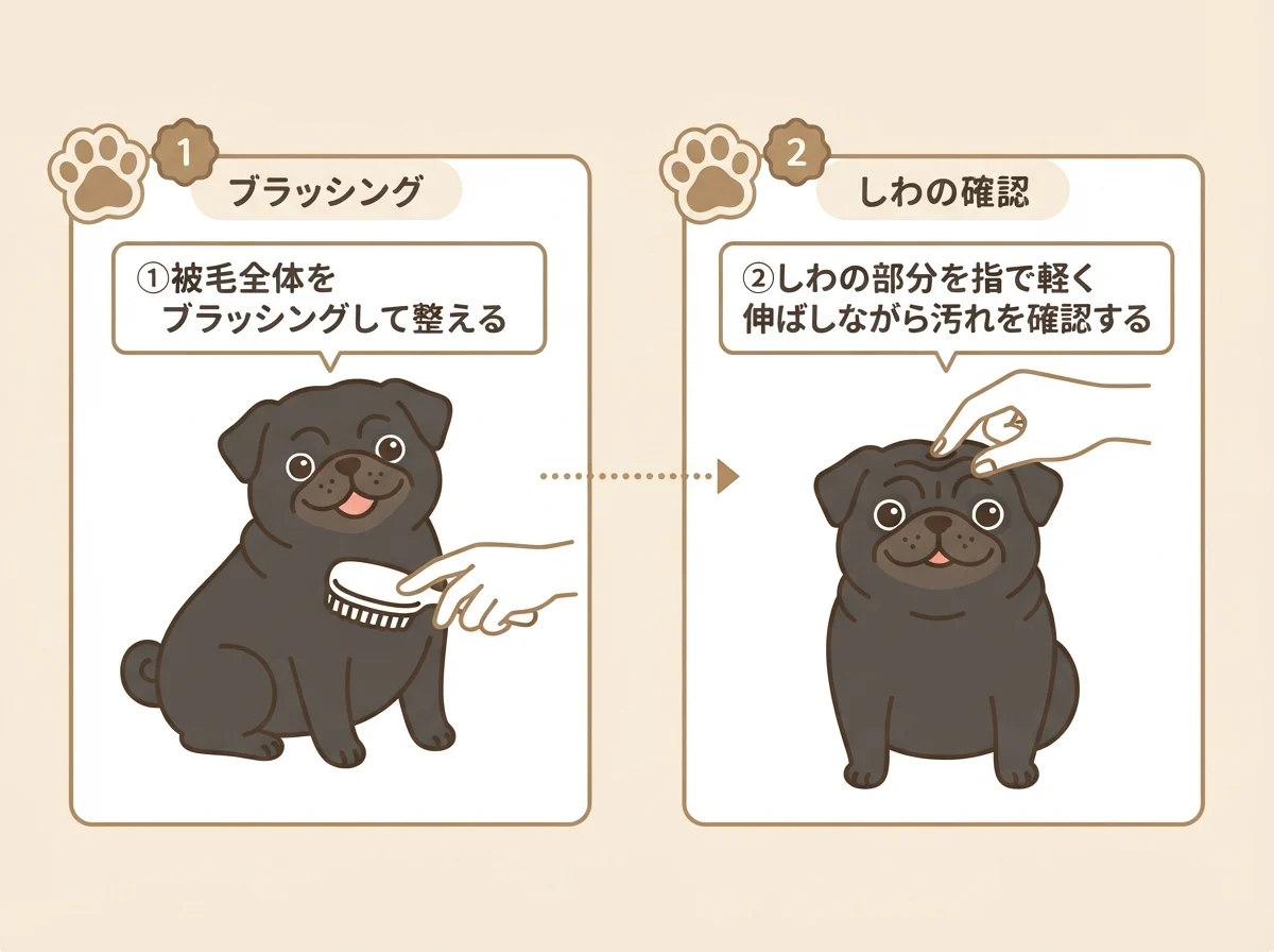 ブラッシングとしわのケアを一連の流れで行う手順を示した図解