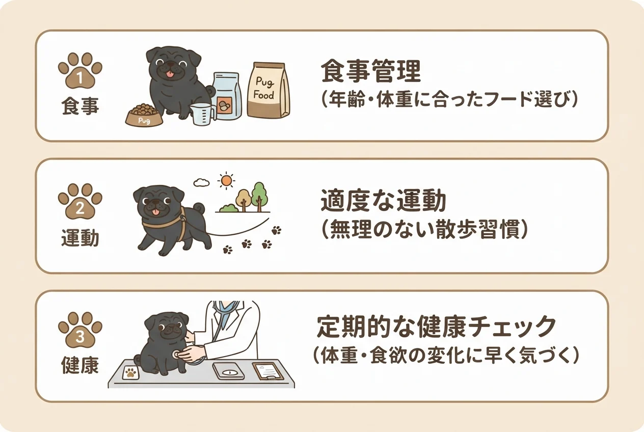 パグの長生きのためにできる3つの工夫(食事管理・適度な運動・定期的な健康チェック)を示した図解