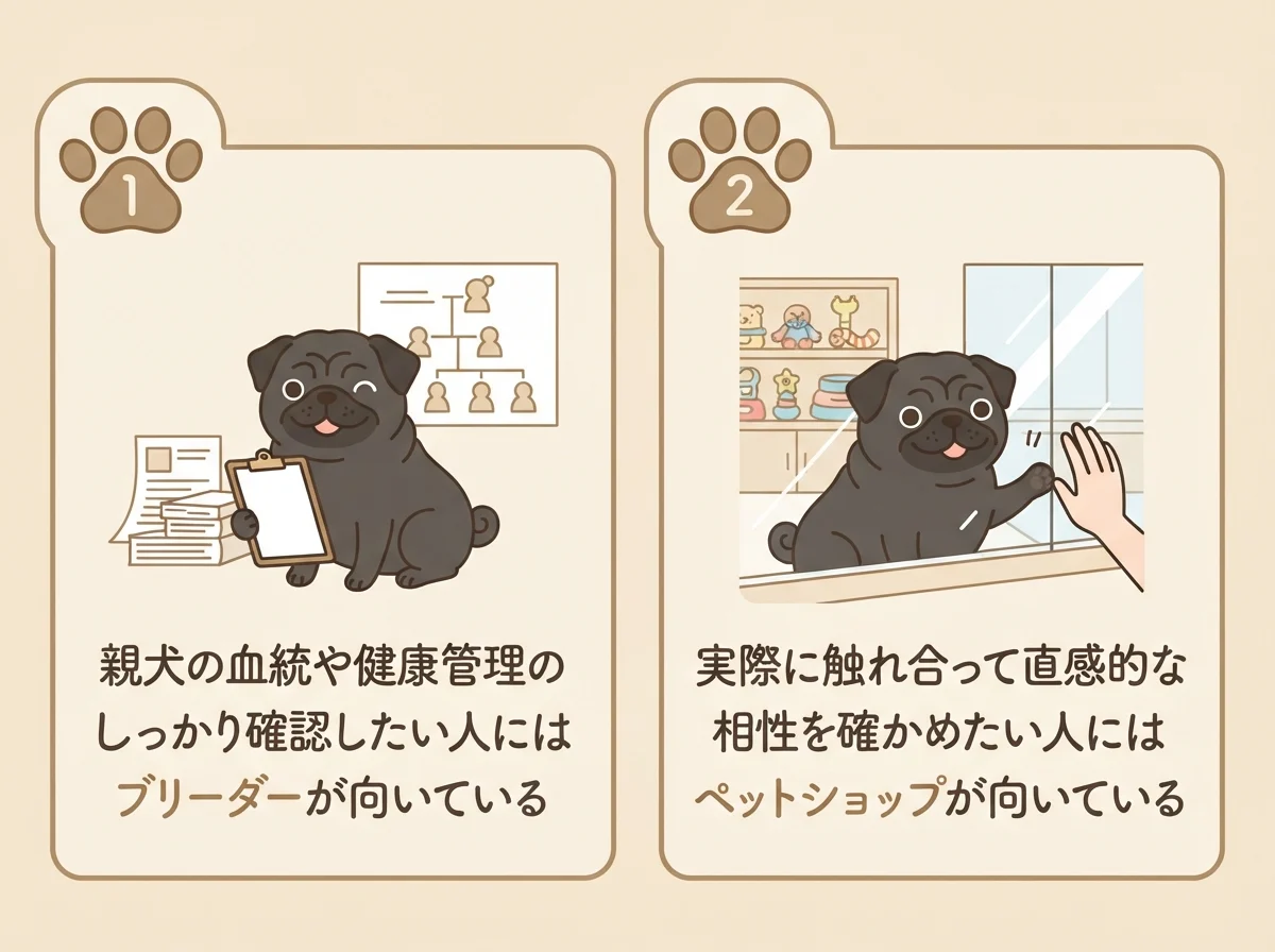 血統重視ならブリーダー、直感的な相性重視ならペットショップが向くことを示す比較イラスト
