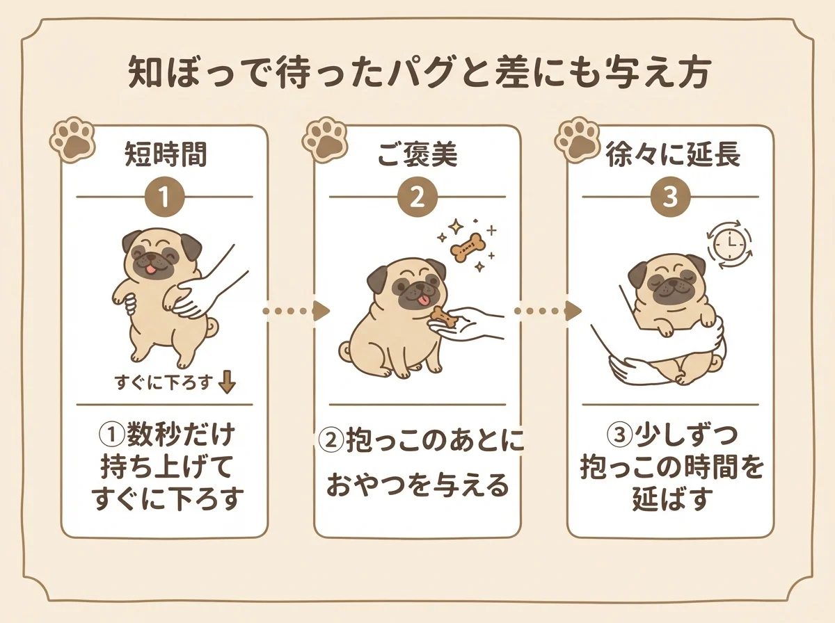 抱っこに慣らすための3ステップ(短時間から始める→おやつと結びつける→時間を延ばす)を示した図解