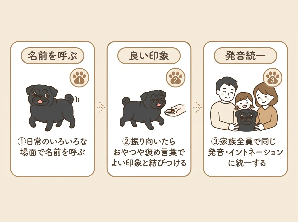 名前を覚えてもらうための慣らし方の3ステップを示した図解