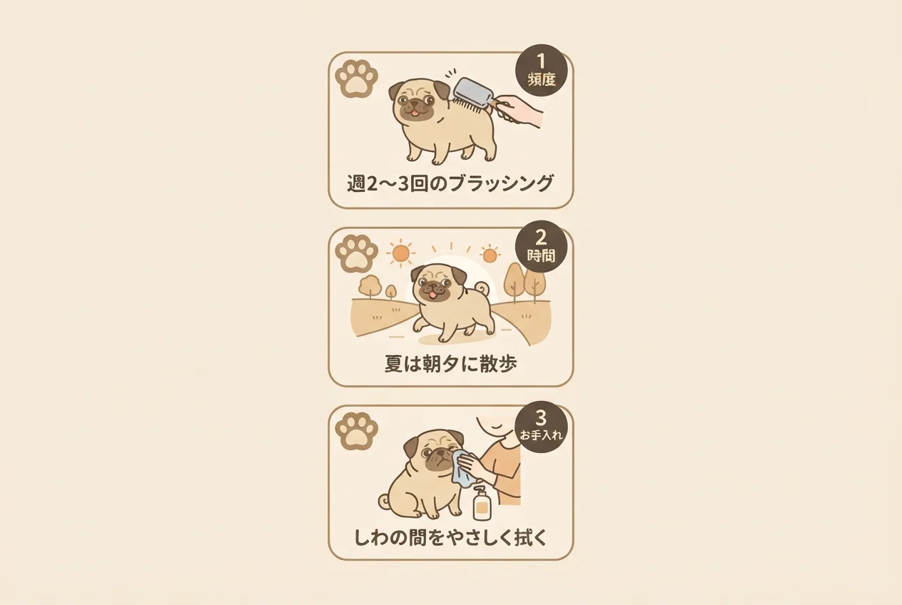 黒パグのお手入れで押さえたい3つのポイントをまとめたチェックリストです。