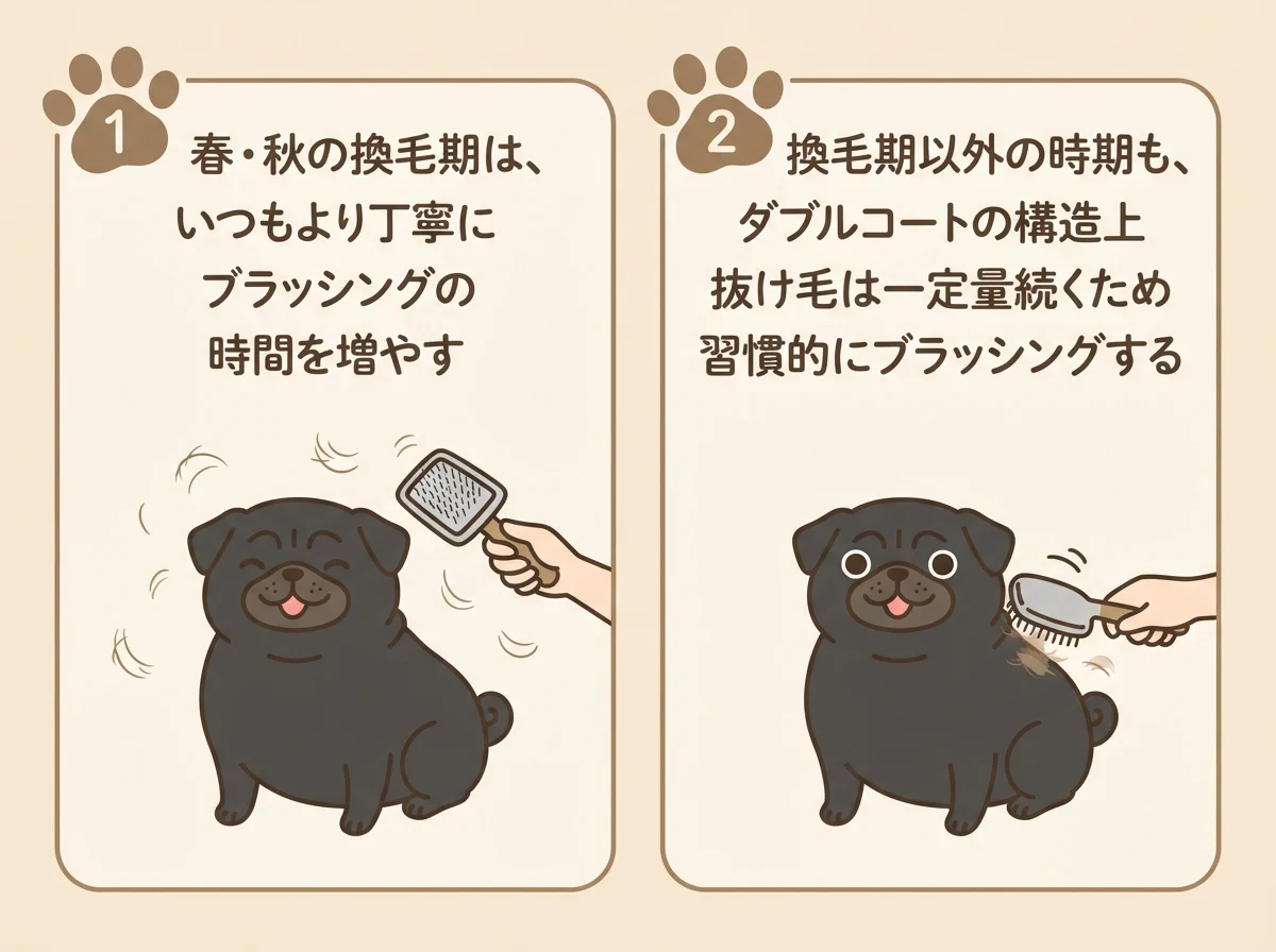 換毛期と換毛期以外での抜け毛の違いとブラッシングの心がけを示した比較図解