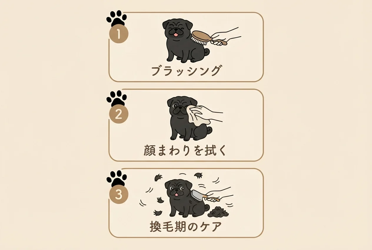 シーズーとパグのミックス犬の被毛とお手入れの習慣を3項目にまとめたチェックリストの図解です。