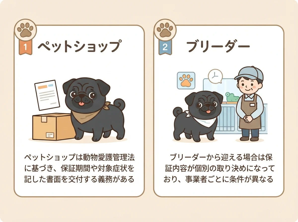 ペットショップの書面保証とブリーダーの個別取り決めという健康保証の違いを示す比較イラスト