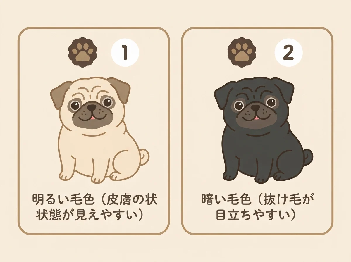 明るい毛色と暗い毛色でのお手入れ時に気づきやすい違いを示した図解
