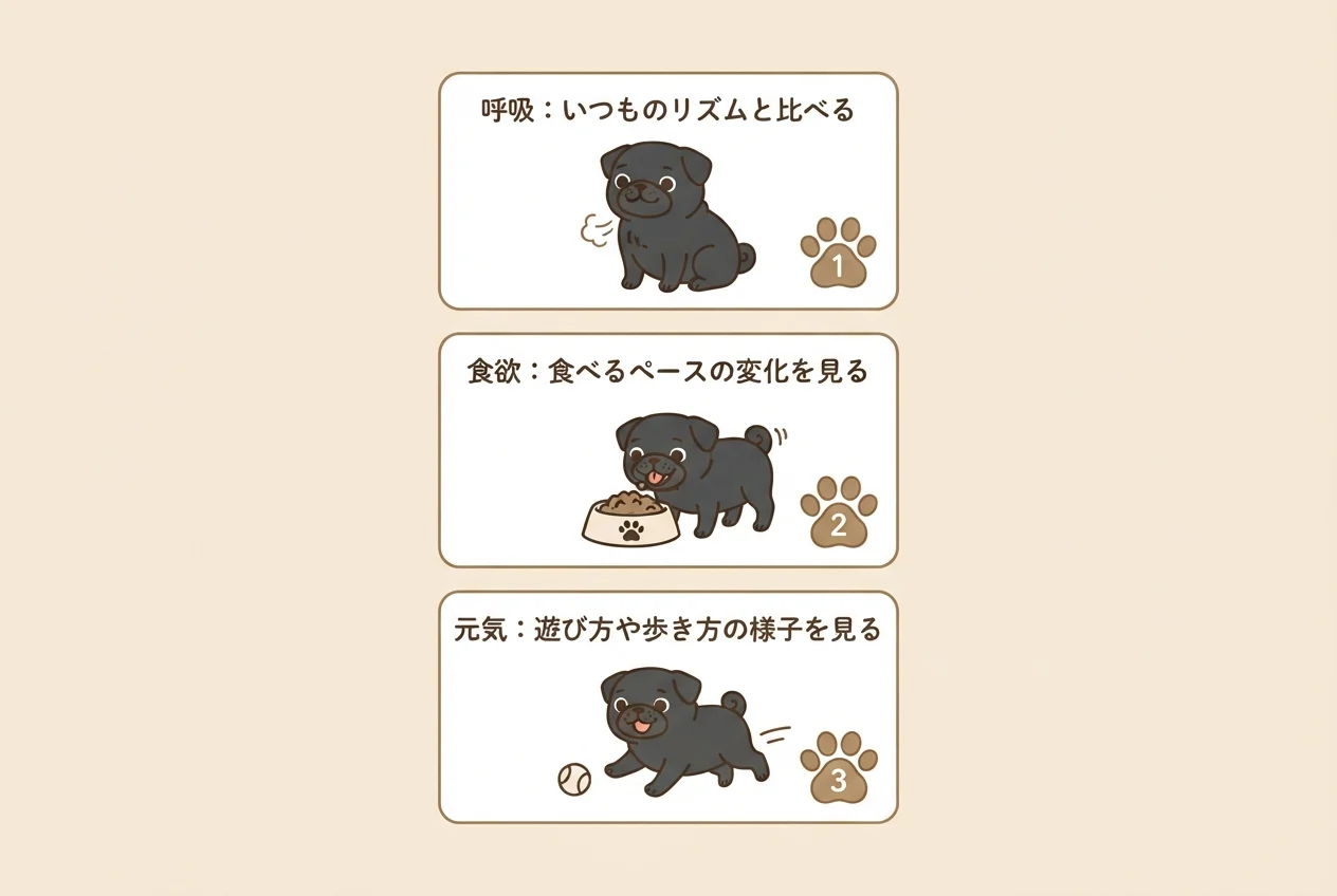 夏にパグの体調を見守るための呼吸・食欲・元気の3つの観察ポイントを示した図解です。