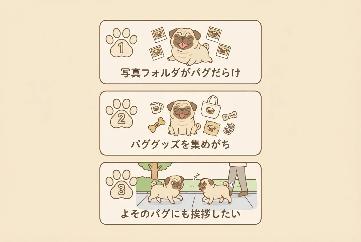 パグの飼い主に当てはまるあるあるを3項目にまとめたチェックリストの図解です。