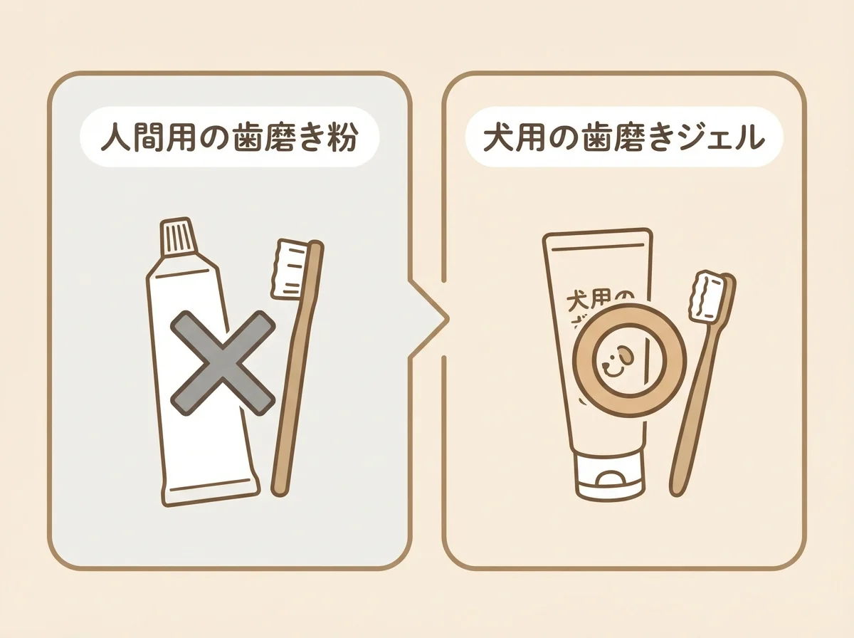 歯磨きジェル・歯磨き粉のNG例(人間用)とOK例(犬用)を示した比較図解
