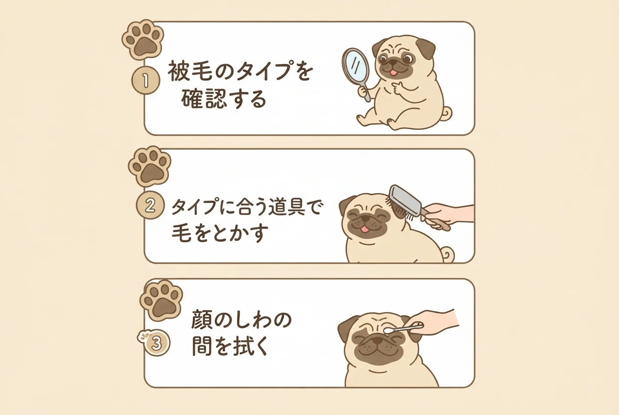パグダックスのお手入れで押さえたい被毛のタイプ確認とブラッシング、しわ拭きの3つのポイントを示した図解です。