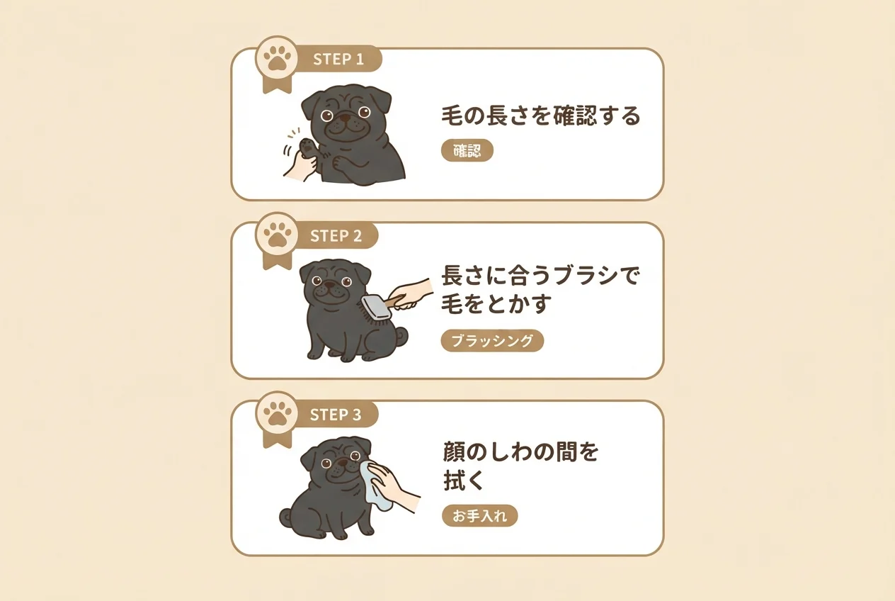 ポメパグのお手入れで押さえたい毛の長さの確認とブラシの使い分け、しわ拭きの3つのポイントを示した図解です。