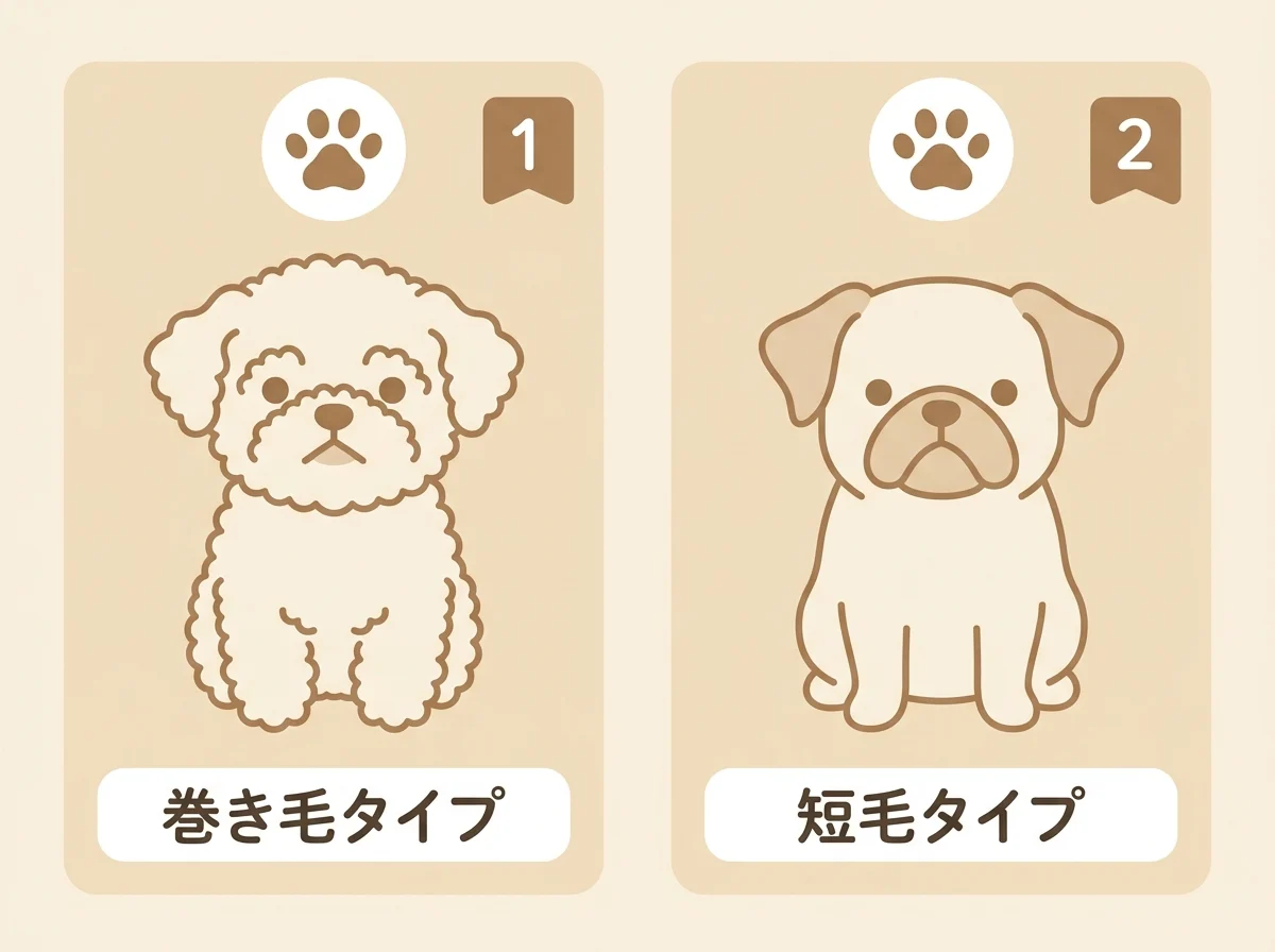 パグドルの被毛が巻き毛タイプと短毛タイプに分かれることを示した図解です。