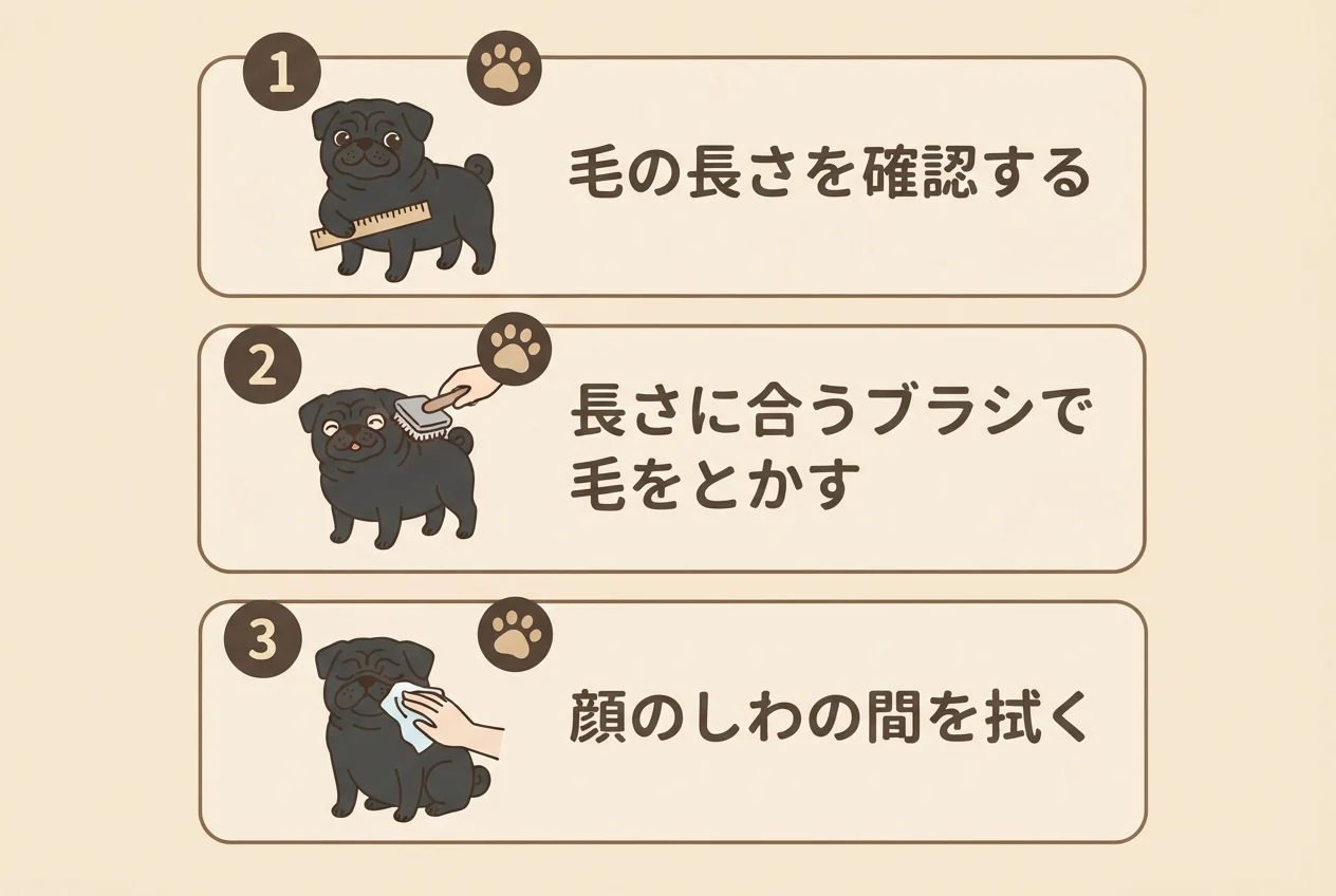 チワパグのお手入れで押さえたい毛の長さの確認とブラシの使い分け、しわ拭きの3つのポイントを示した図解です。